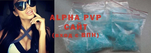 ГАЛЛЮЦИНОГЕННЫЕ ГРИБЫ Тайга