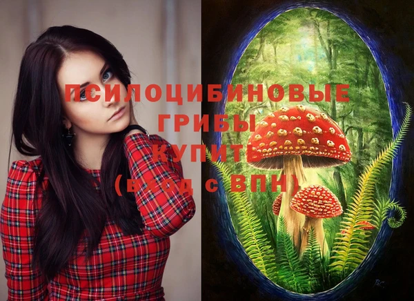 спиды Вязники
