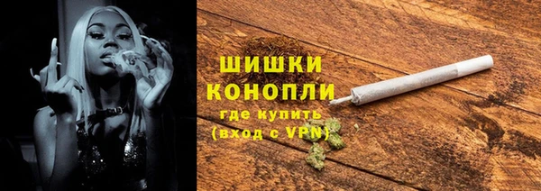 apvp Вяземский