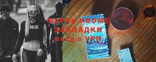 apvp Вяземский