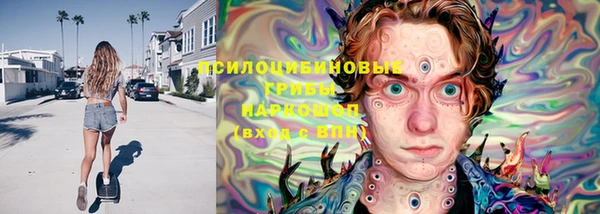 прущая мука Сясьстрой