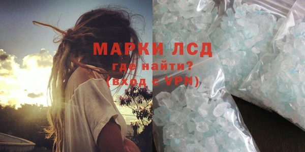 apvp Вяземский