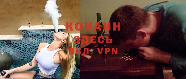 apvp Вяземский