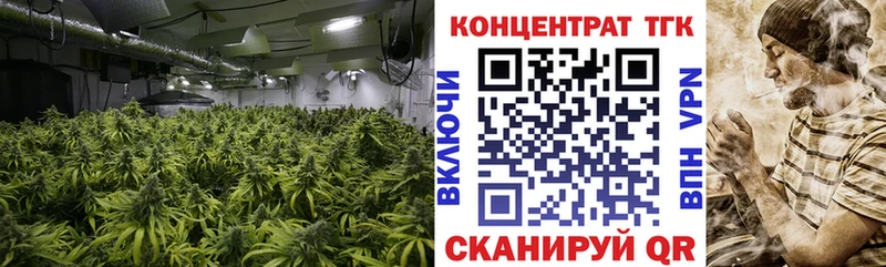 ТГК THC oil  купить наркотики цена  маркетплейс клад  Мезень 